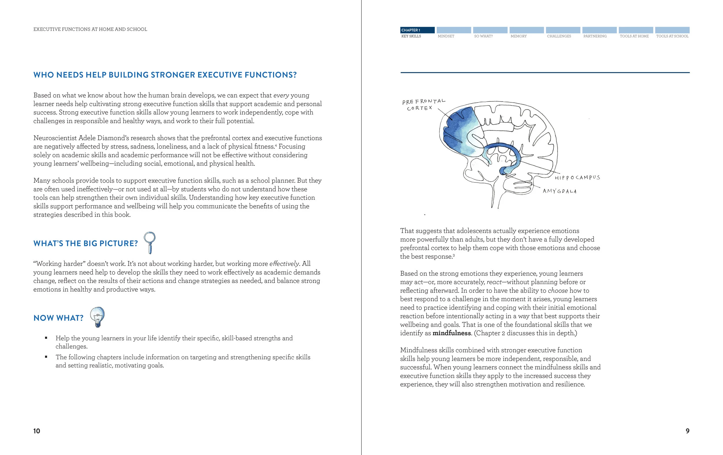 Executive Function Book — Atelier Cho Thompson